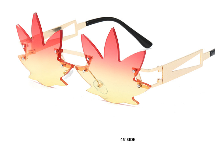 hawk sunglasses