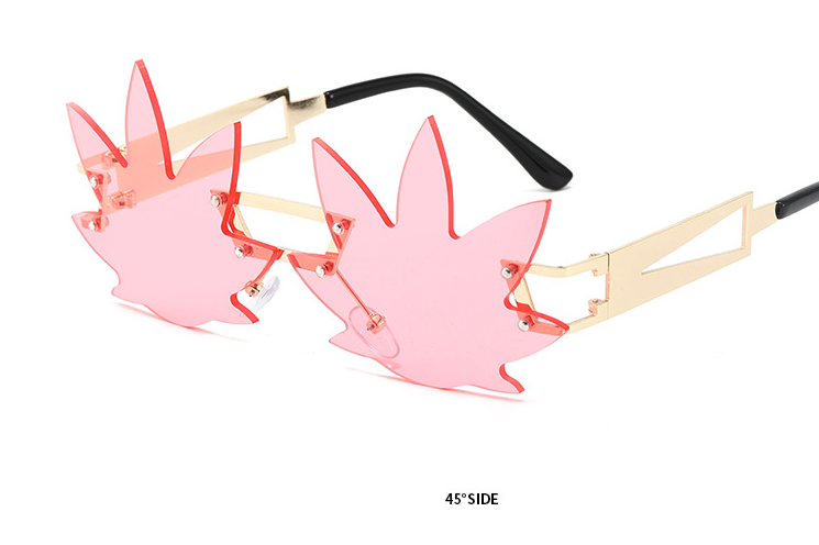 hawk sunglasses
