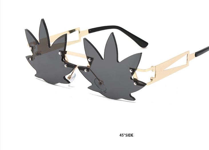 hawk sunglasses