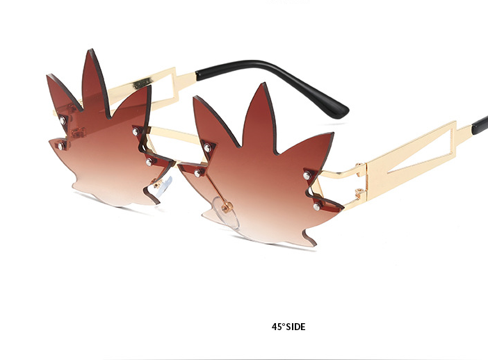 hawk sunglasses